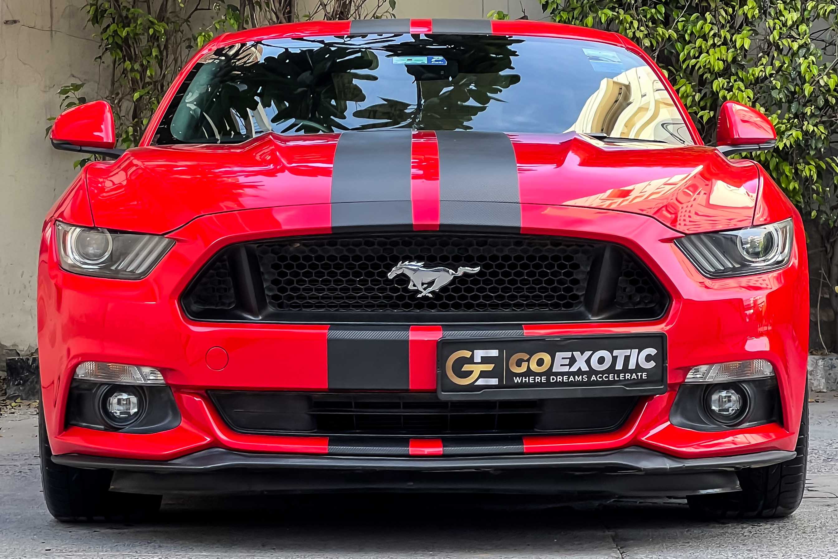 2019 FORD MUSTANG  GT FASTBACK
